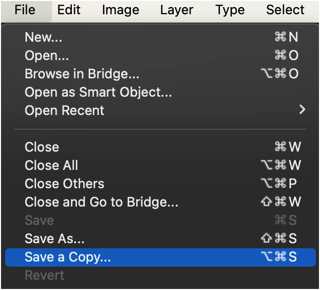 File > Save a Copy
